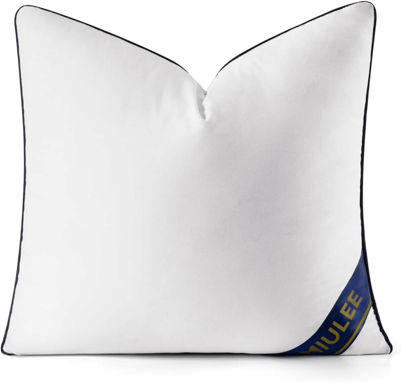 MIULEE 20x20 Pillow Insert Throw Pillow Premium Down Alternative Pillow Insert Square Decorative Pillow Stuffer for Sofa, Couch (20x20 inch) - Miulee