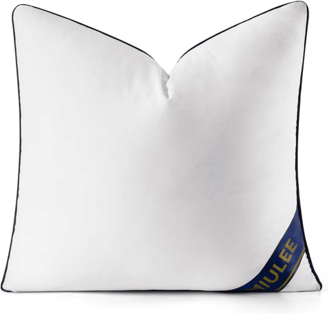 MIULEE 20x20 Pillow Insert Throw Pillow Premium Down Alternative Pillow Insert Square Decorative Pillow Stuffer for Sofa, Couch (20x20 inch) - Miulee