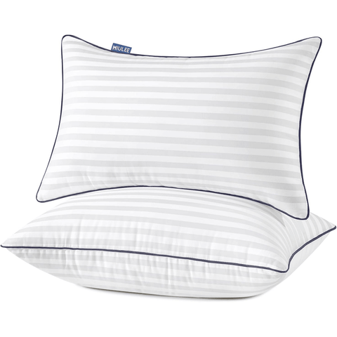 MIULEE Queen Bed Pillows Set of 2, 20x30 Decorative Pillow Inserts for Couch Sofa Bed, Firm and Fluffy Down Alternative Filled with Cotton Cover - Miulee